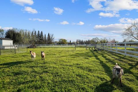 12680 Fig Rd, Wilton, CA 95693 photo 49