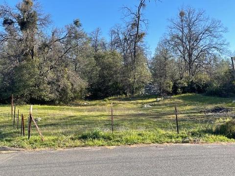1191 Ansil Davis Rd, Douglas Flat, CA 95229 photo 2