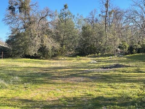 1191 Ansil Davis Rd, Douglas Flat, CA 95229 photo 3