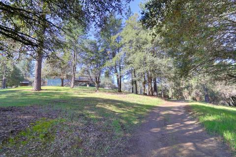 7320 Clove Rd, Placerville, CA 95667 photo 50