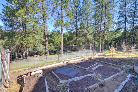 7320 Clove Rd, Placerville, CA 95667 photo 43