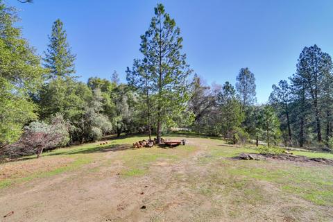 7320 Clove Rd, Placerville, CA 95667 photo 51