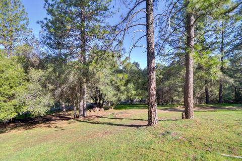 7320 Clove Rd, Placerville, CA 95667 photo 45
