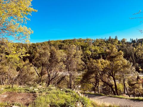 2199 Fall Trail Rd, Placerville, CA 95667 photo 20
