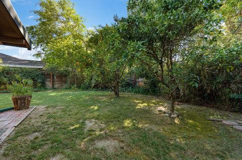 643 Miller Dr, Davis, CA 95616 photo 29