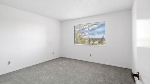 26755 N Vail Rd, Thornton, CA 95686 photo 30