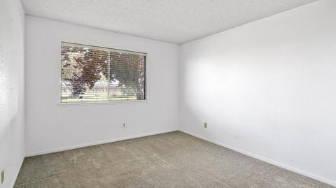 26755 N Vail Rd, Thornton, CA 95686 photo 29