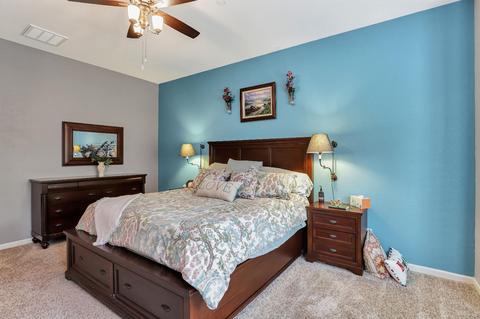 1690 Brandon Dewey Ln, Tracy, CA 95304 photo 29