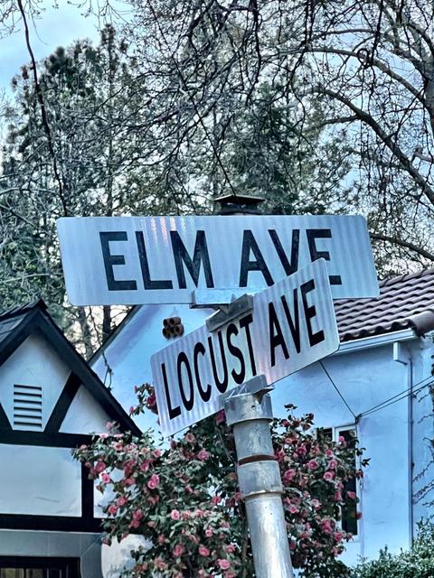 1141 Elm Ave, Placerville, CA 95667 photo 6