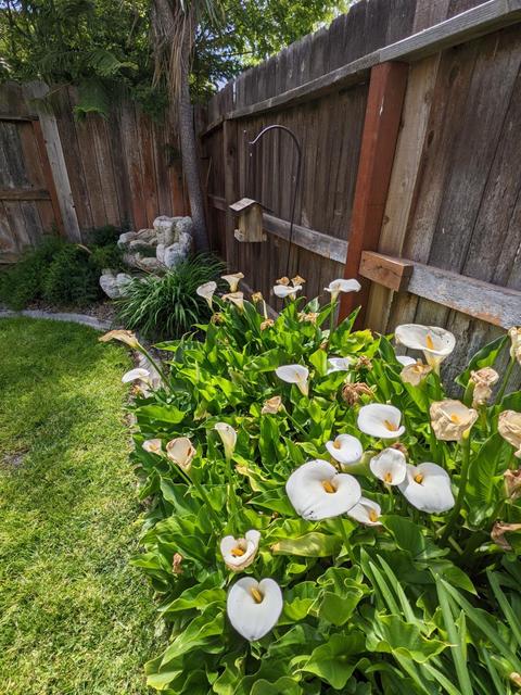 2076 Snowbird Dr, Lodi, CA 95242 photo 45