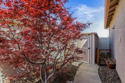 2633 Bellchase Dr, Manteca, CA 95336 photo 39