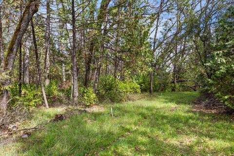 4005 Bluff Rd, Placerville, CA 95667 photo 58