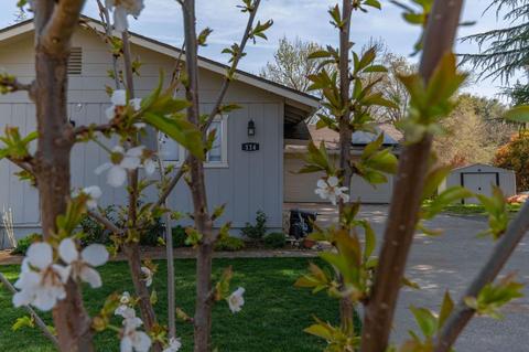 114 Gold Pan Ct, Jackson, CA 95642 photo 65