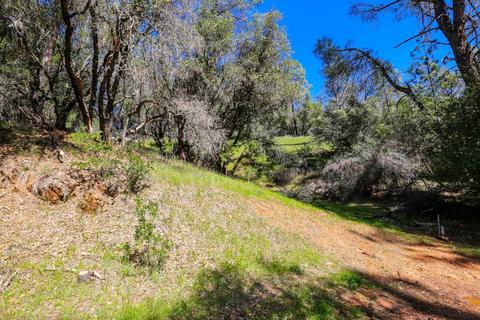 322 Pine Cone Way, Mountain Ranch, CA 95246 photo 44