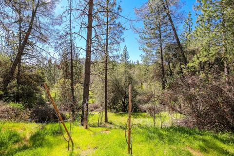 322 Pine Cone Way, Mountain Ranch, CA 95246 photo 50