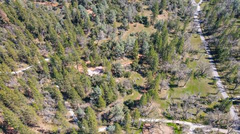 322 Pine Cone Way, Mountain Ranch, CA 95246 photo 85