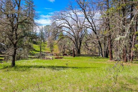 322 Pine Cone Way, Mountain Ranch, CA 95246 photo 52
