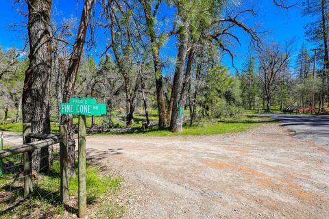 322 Pine Cone Way, Mountain Ranch, CA 95246 photo 65
