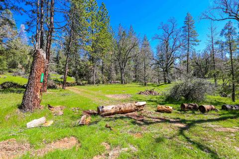 322 Pine Cone Way, Mountain Ranch, CA 95246 photo 58