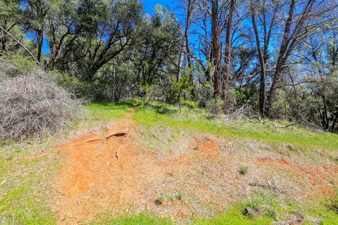 322 Pine Cone Way, Mountain Ranch, CA 95246 photo 43