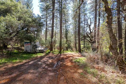 322 Pine Cone Way, Mountain Ranch, CA 95246 photo 95