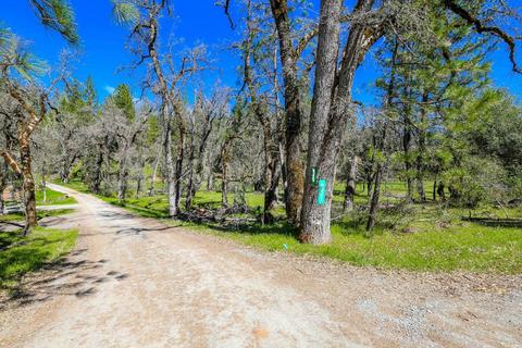 322 Pine Cone Way, Mountain Ranch, CA 95246 photo 66