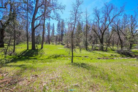 322 Pine Cone Way, Mountain Ranch, CA 95246 photo 47