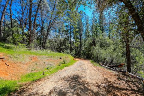 322 Pine Cone Way, Mountain Ranch, CA 95246 photo 42