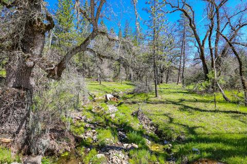 322 Pine Cone Way, Mountain Ranch, CA 95246 photo 59