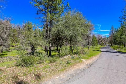 322 Pine Cone Way, Mountain Ranch, CA 95246 photo 67