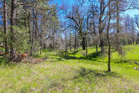 322 Pine Cone Way, Mountain Ranch, CA 95246 photo 53