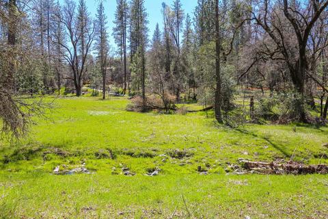 322 Pine Cone Way, Mountain Ranch, CA 95246 photo 51