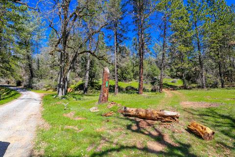 322 Pine Cone Way, Mountain Ranch, CA 95246 photo 61