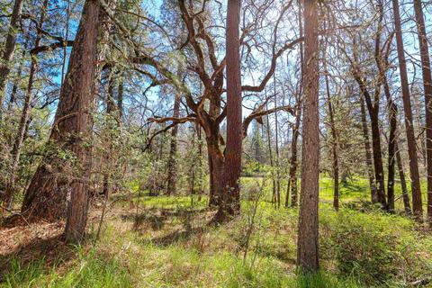 322 Pine Cone Way, Mountain Ranch, CA 95246 photo 45