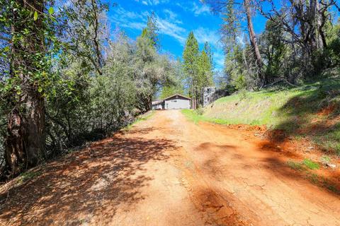 322 Pine Cone Way, Mountain Ranch, CA 95246 photo 4