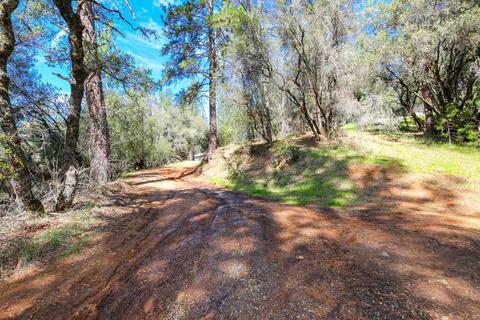 322 Pine Cone Way, Mountain Ranch, CA 95246 photo 93