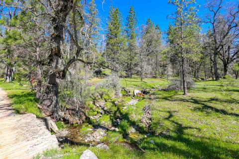322 Pine Cone Way, Mountain Ranch, CA 95246 photo 60