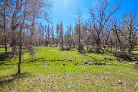 322 Pine Cone Way, Mountain Ranch, CA 95246 photo 49