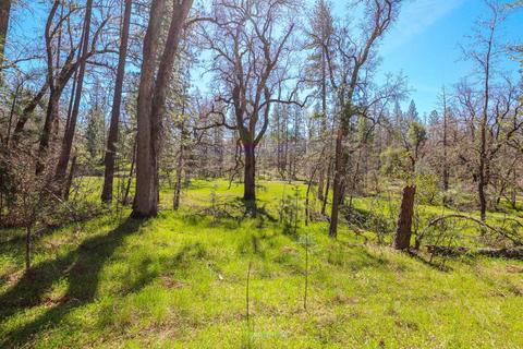 322 Pine Cone Way, Mountain Ranch, CA 95246 photo 46