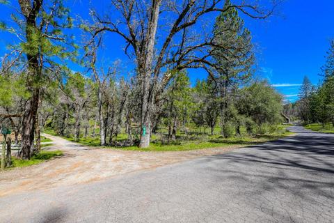 322 Pine Cone Way, Mountain Ranch, CA 95246 photo 96