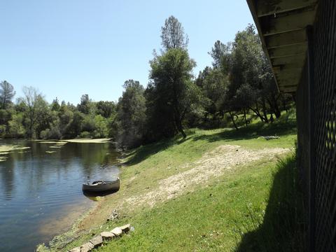 960 Black Rice, Placerville, CA 95667 photo 5