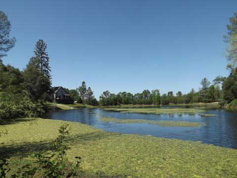 960 Black Rice, Placerville, CA 95667 photo 6