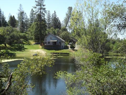 960 Black Rice, Placerville, CA 95667 photo 3