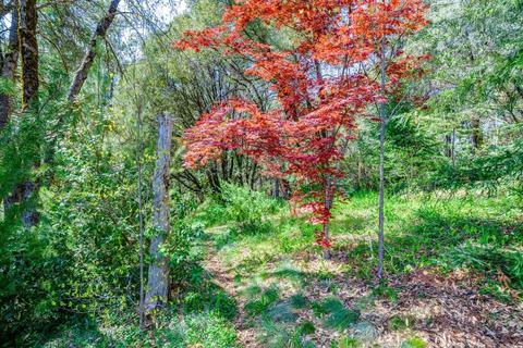 3873 Shoemaker Rd, Georgetown, CA 95634 photo 48