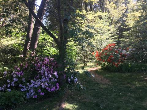 3873 Shoemaker Rd, Georgetown, CA 95634 photo 55