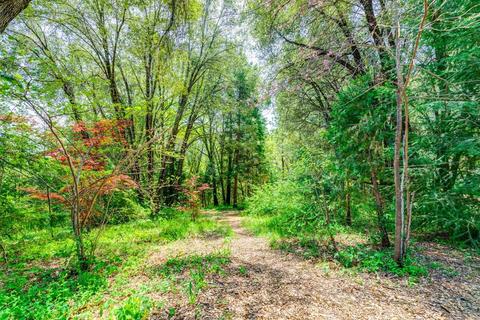 3873 Shoemaker Rd, Georgetown, CA 95634 photo 47
