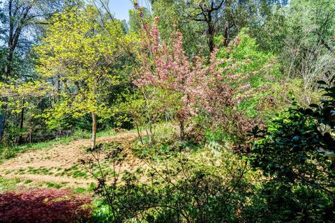 3873 Shoemaker Rd, Georgetown, CA 95634 photo 46