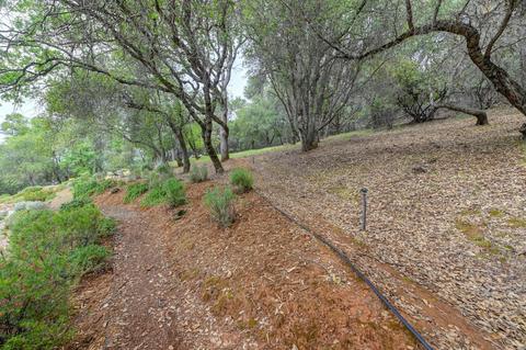 2451 Big Strike Trl, Cool, CA 95614 photo 74