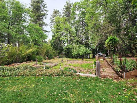 Undisclosed, Grass Valley, CA 95945 photo 22