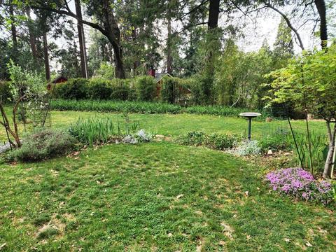 Undisclosed, Grass Valley, CA 95945 photo 23
